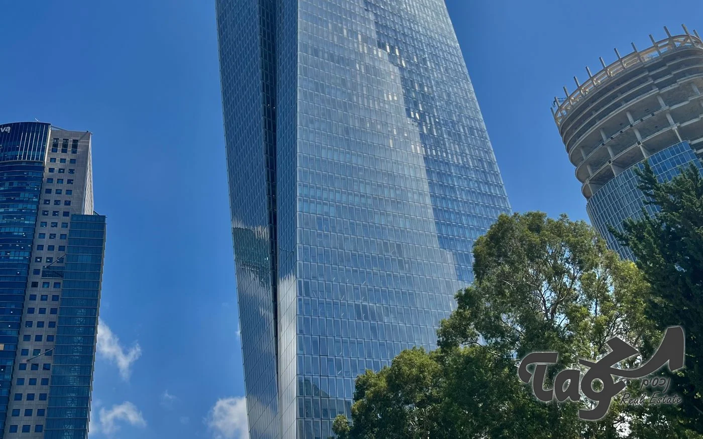 מגדל זכוכית גבוה מאוד, מבט מלמטה בין עצים