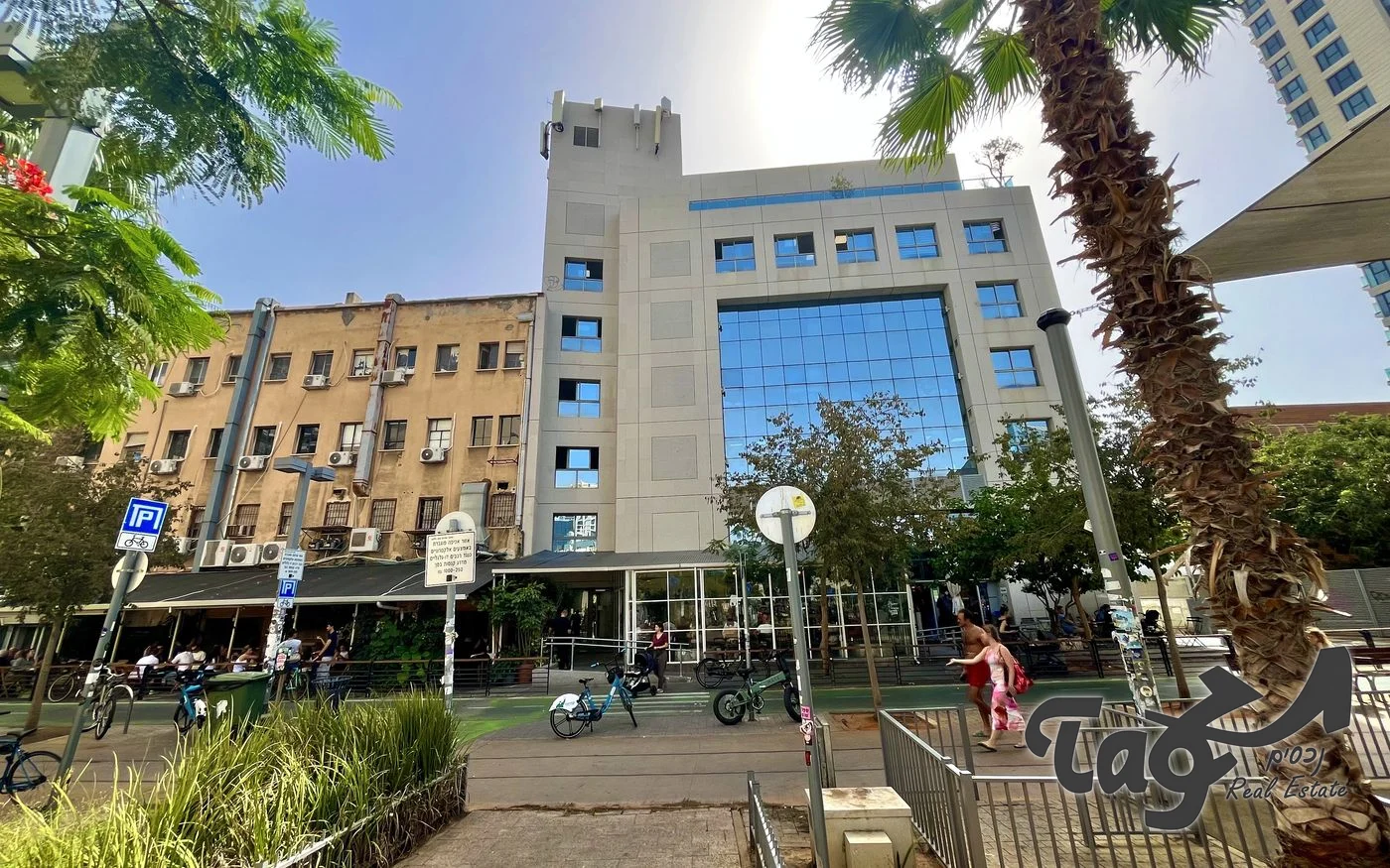 חזית הבניין בחיפוי אבן בהירה עם חלונות זכוכית כחולים, מבט מפארק המסילה בין עצי דקל