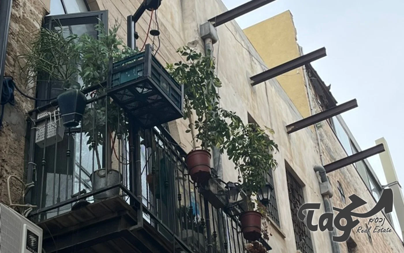 חזית מטויחת בצבע בהיר עם מרפסת ברזל מלאה בעציצים, חלונות עם סורגים ומוטות ברזל בולטים